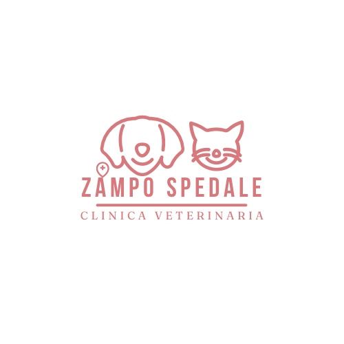 Zampo Spedale